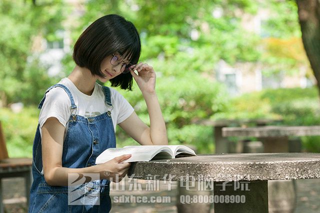 山东电子职业技术学院