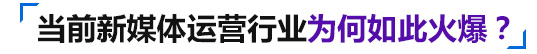 网络运营行业