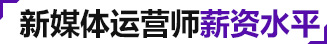 网络运营薪资水平