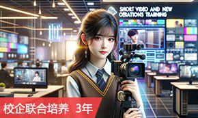 AI电商财会与直播短视频运营 