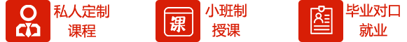  大学生高技能快速就业班