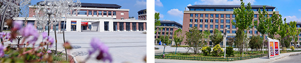  大学生高技能快速就业班