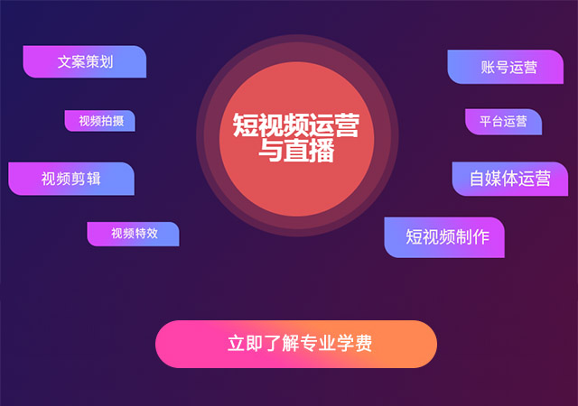 学完你会得到什么